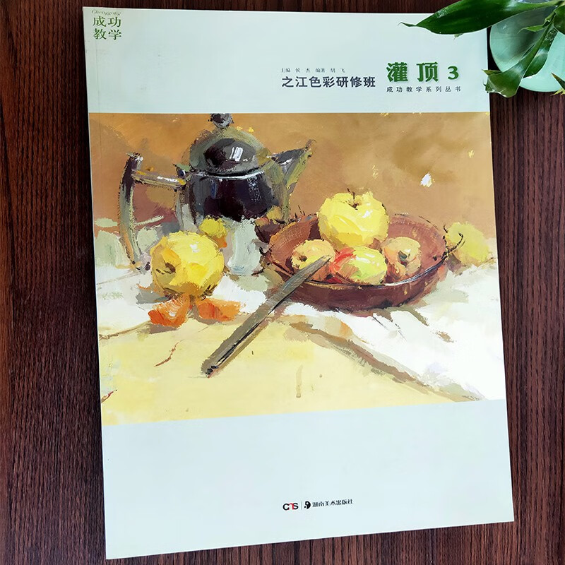 教学联考秘笈色彩静物色调训练步骤图色彩造型单体塑造水粉画绘画技法