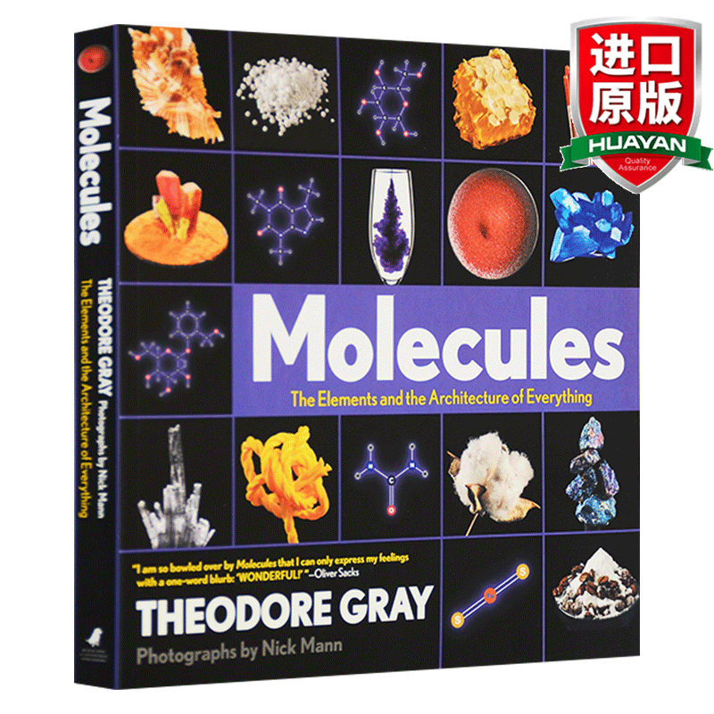英文原版 分子 一切的要素和架构 Molecules The Elements and the 化学