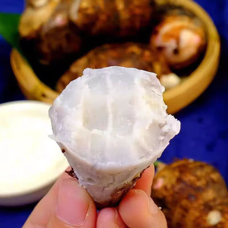 山东 农家芋头 当季新鲜 奶香芋头(4.5斤)口感细腻 软糯香甜 4.5斤家庭装