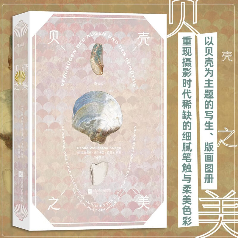 贝壳之美  复古艺术馆系列 190幅贝壳画作 海洋生物图鉴写生博物画