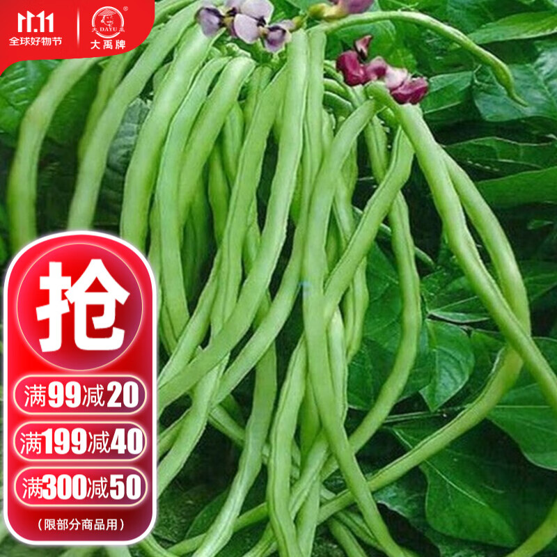 爬满地无架豆种子40g优选种