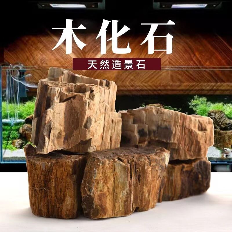 逸樂寵魚缸造景石酸洗青龍石假山水草缸裝飾石頭松皮石天然原石大塊小塊 木化石3斤
