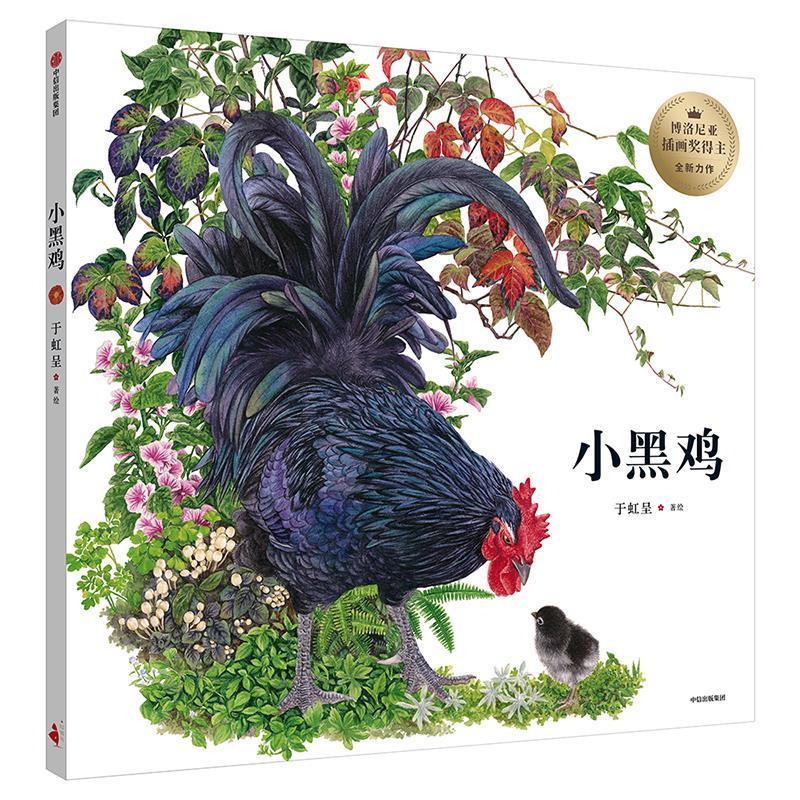 正版 小黑鸡 9787521700947 于虹呈