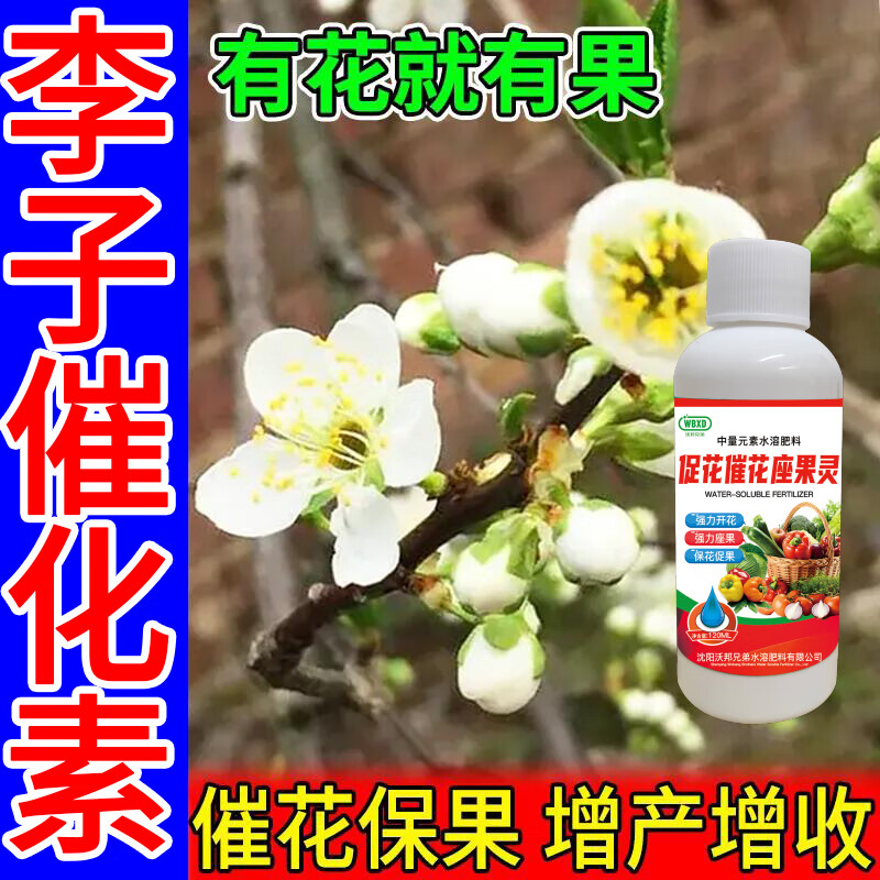 沃邦兄弟李子授粉座果精味蒂树授粉专用药催花授粉强座果李子树保花保