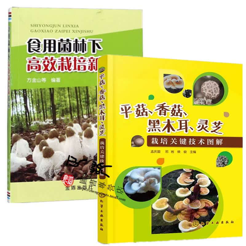 食用菌栽培技术全2本 食用菌林下高效栽培新技术+平菇香菇黑木耳灵芝栽培关键技术图解 菌种制作病虫害防