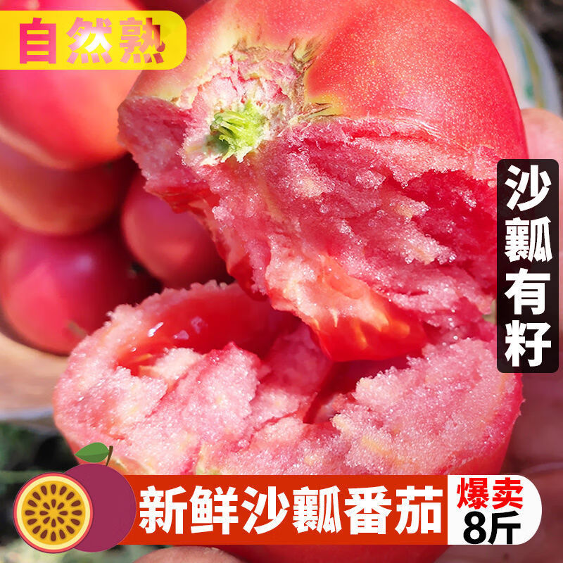 2023正宗新疆西红柿沙瓤新鲜水果自然熟普罗旺斯生吃番茄柿子 5斤装