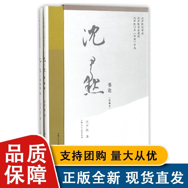 沈尹默书论 二十世纪中国书法名家理论艺丛