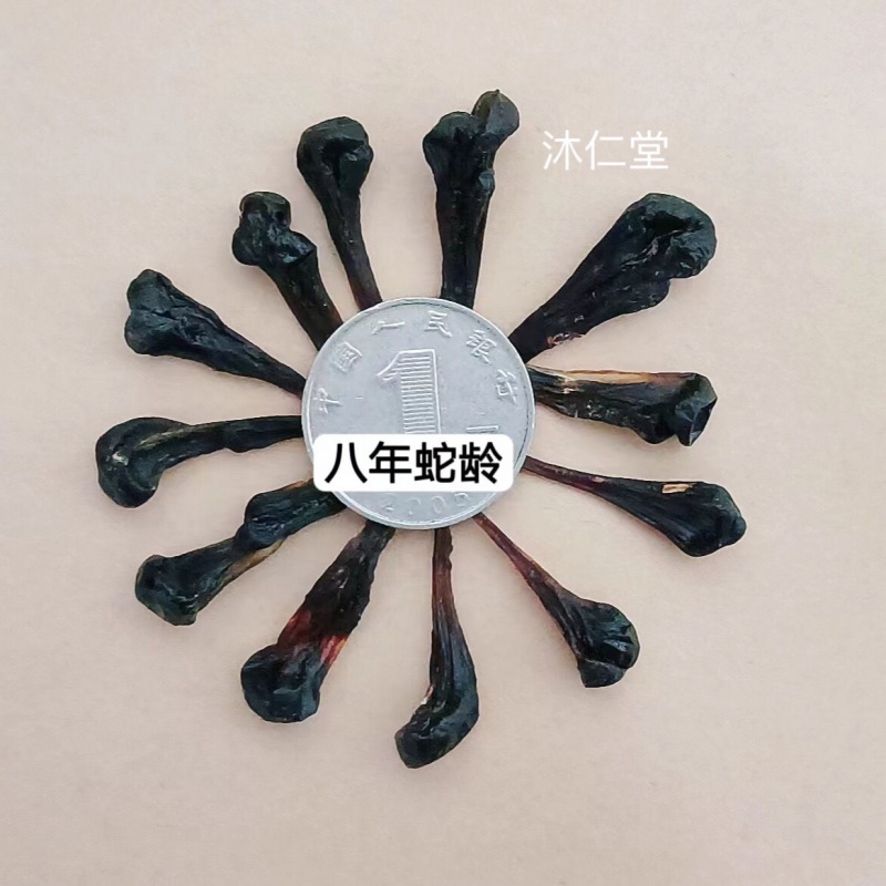 北京同仁堂原料正宗五步蛇胆干中药材蛇胆干 蟒蛇胆蛇胆 眼镜蛇胆