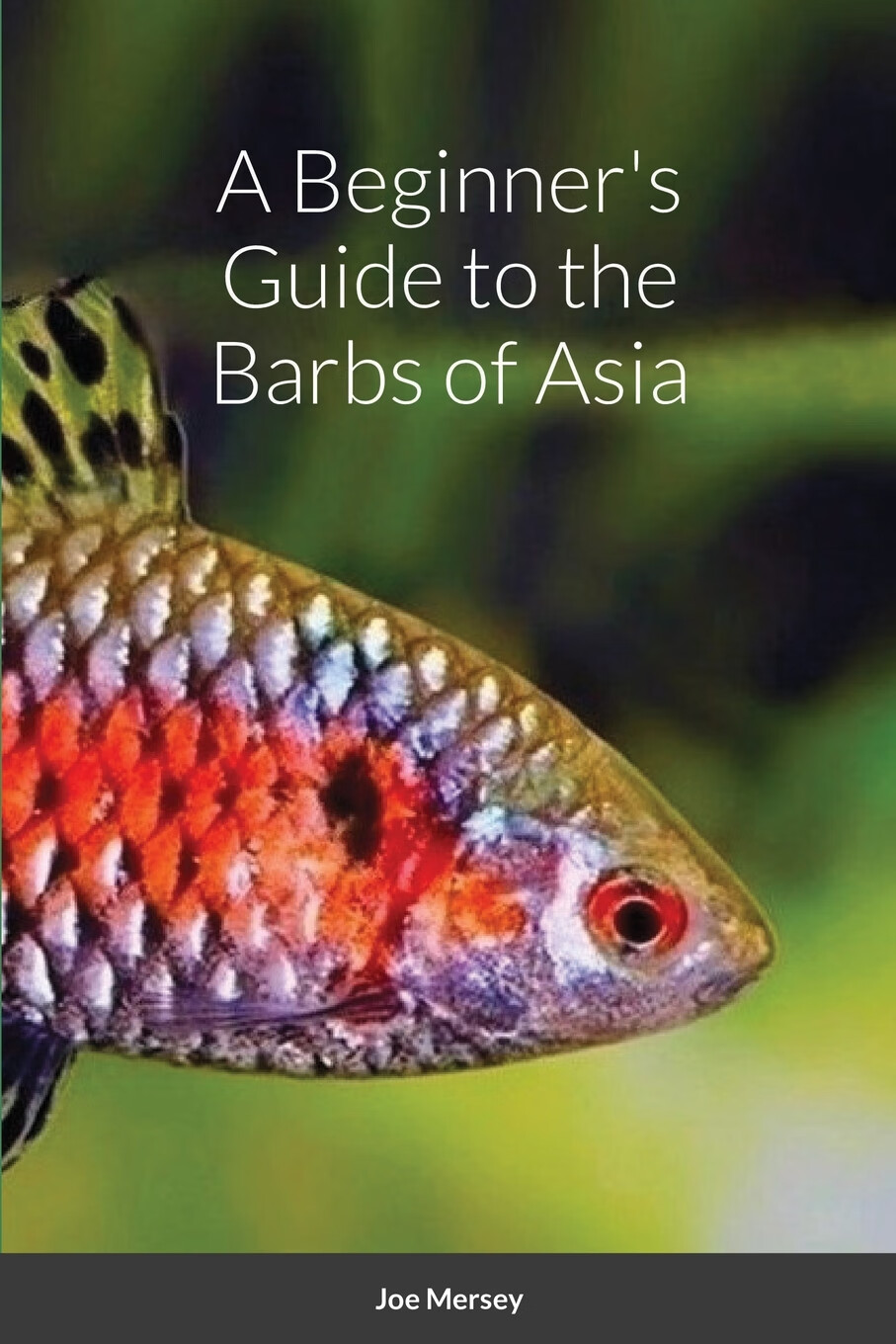 【预售 按需印刷】a beginner s guide to the barbs of asia