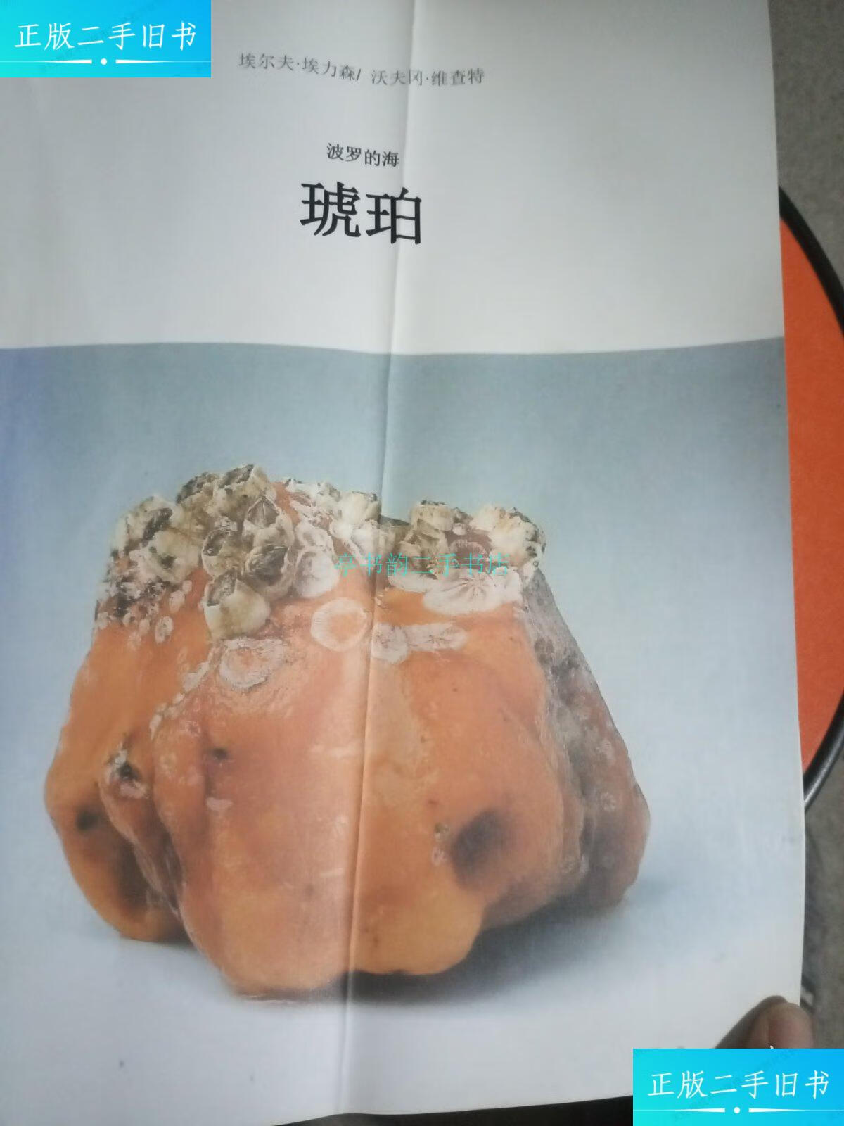 【二手9成新】波罗的海琥珀埃尔夫.埃力森 不详