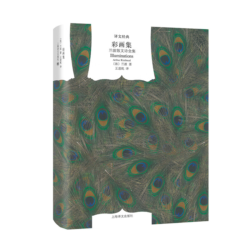 正版 彩画集 兰波散文诗全集 (法)兰波 图书/文学/文学评论与研究