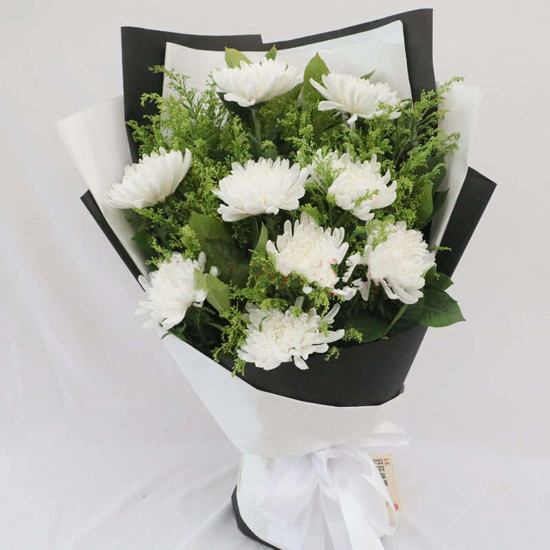 鲜花同城扫墓祭祀祭奠包河瑶海蜀山庐阳区同城配送 9朵白菊祭祀鲜花