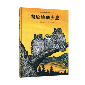 感悟生命动物绘本:湖边的猫头鹰 (日)手岛圭三郎【正版书】