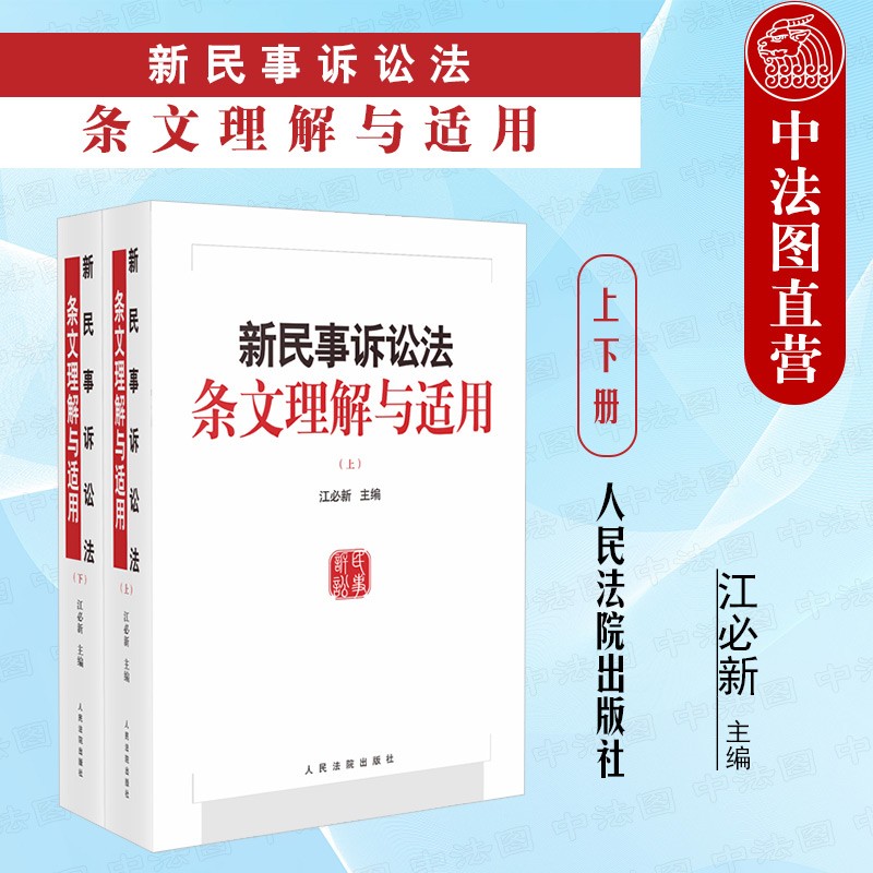正版 2022新修订版 新民事诉讼法条文理解与适用 江必新 人民法院 新民诉法条文主旨解读案例 法官律师司法案例审判实务参考书