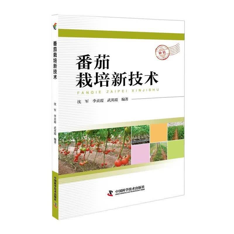 番茄栽培新技术