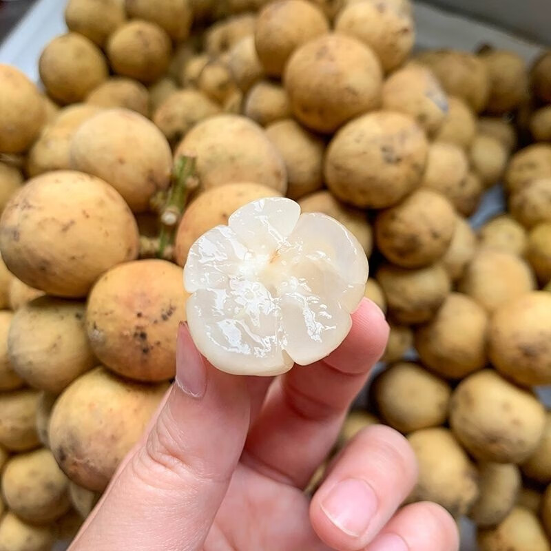 星云湖【顺丰空运】泰国龙宫果新鲜水果稀有爱情果椰色果龙贡果生鲜 500g【大果实惠装丨1-3串】