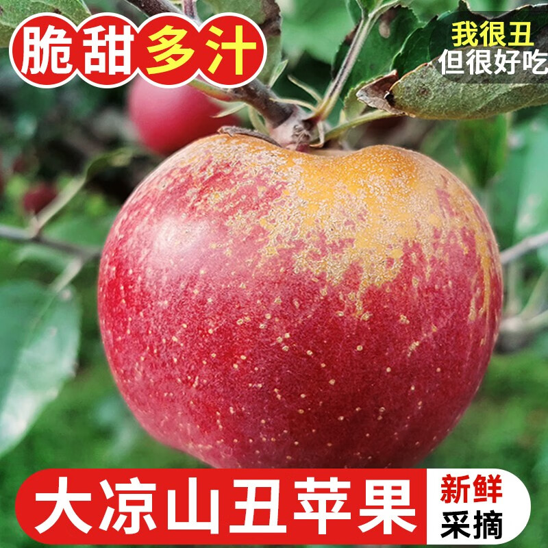 探味君 正宗大凉山丑苹果 仅售18.5元