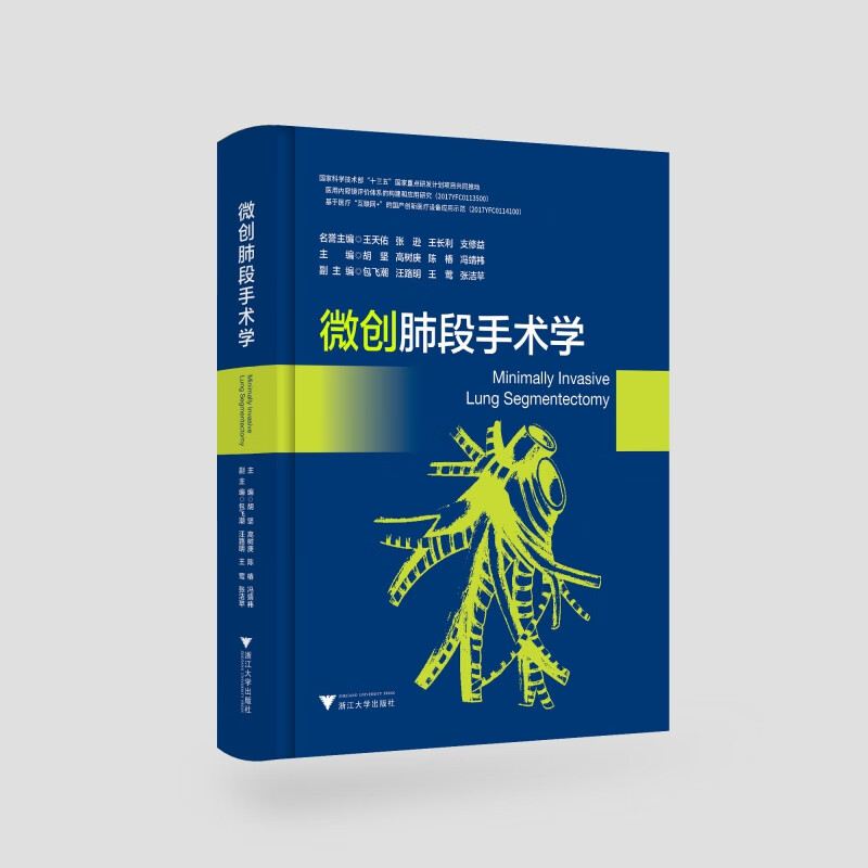 微创肺段手术学(精)