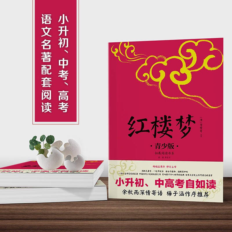 四大名著（青少年版）《西游记》《三国演义》《红楼梦》《水浒传》 中国传统文化儿童文学历史小说 小升初中高考自如读 知识点注释手绘插图现代语言翻译改写课外阅读： 《红楼梦》青少版 （民主与建设出版社）