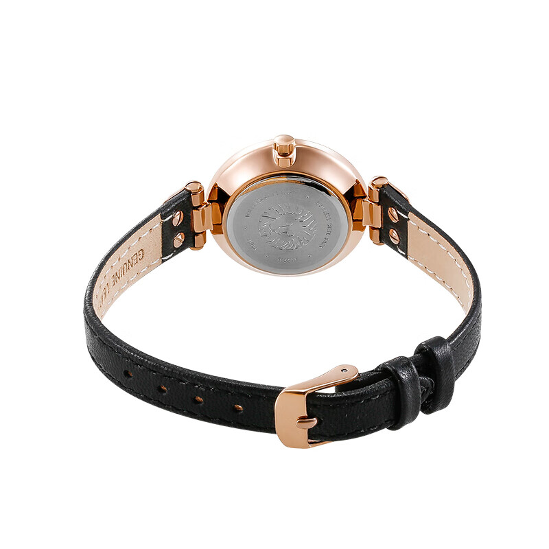 安妮克莱因ANNE KLEIN欧美表AK女士手表复古时尚罗马数字贝母盘面石英腕表 皮革带贝母表盘