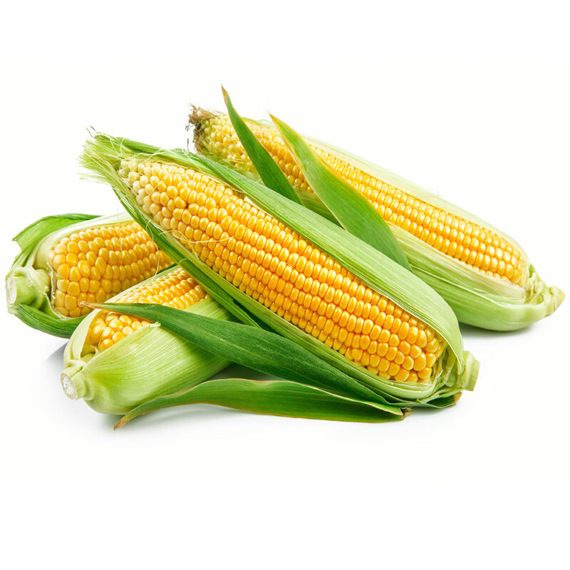 京东根茎类历史价格查询在哪|根茎类价格走势图