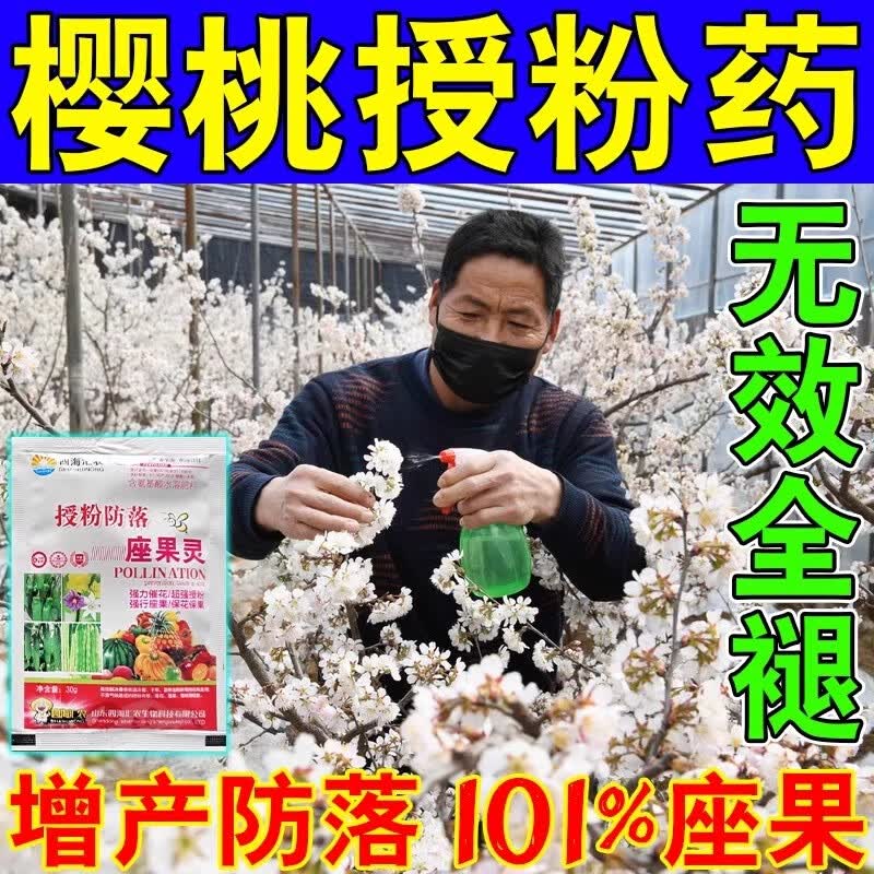车厘子授粉药大樱桃授粉坐果精保花保果药防落果控旺药专用药催花 5袋