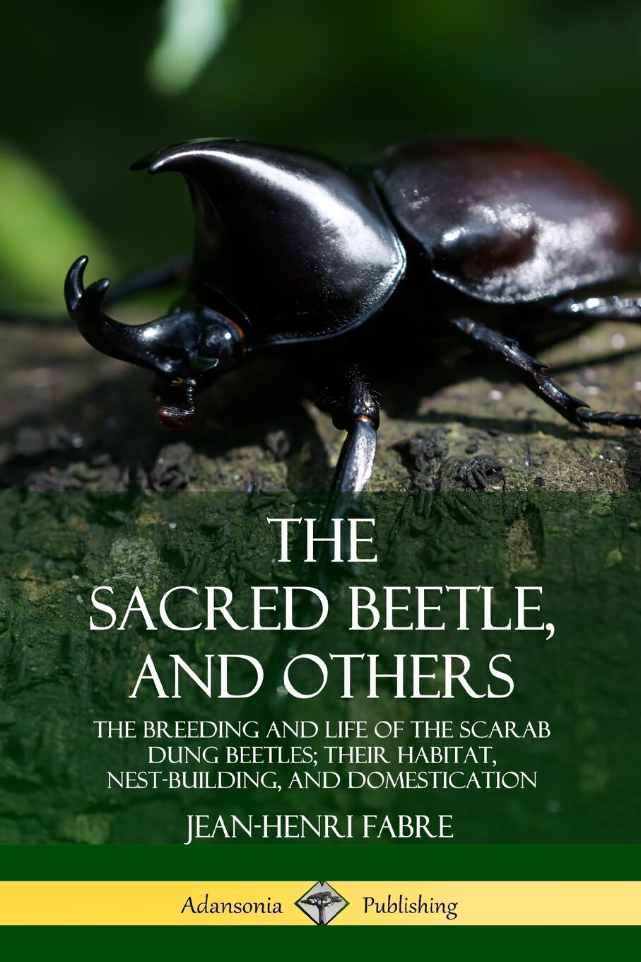 【预售 按需印刷】the sacred beetle, and others