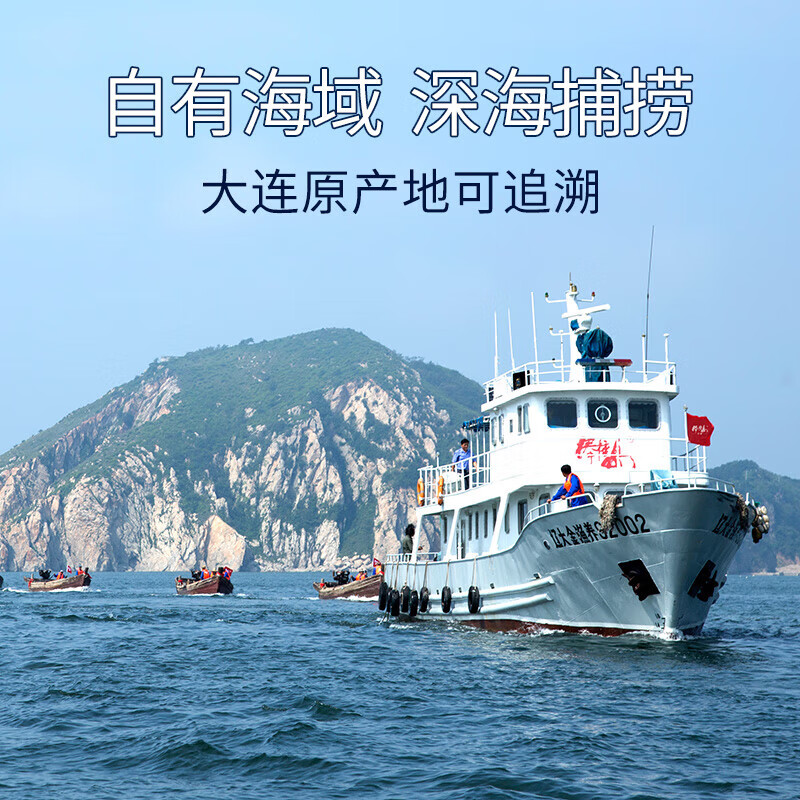 辽参大连海参正宗辽参独立包装非即食官方旗舰店底播辽参海鲜滋补 1000g 礼盒 50-60只(宝宝参每天一根守护孩子活力)