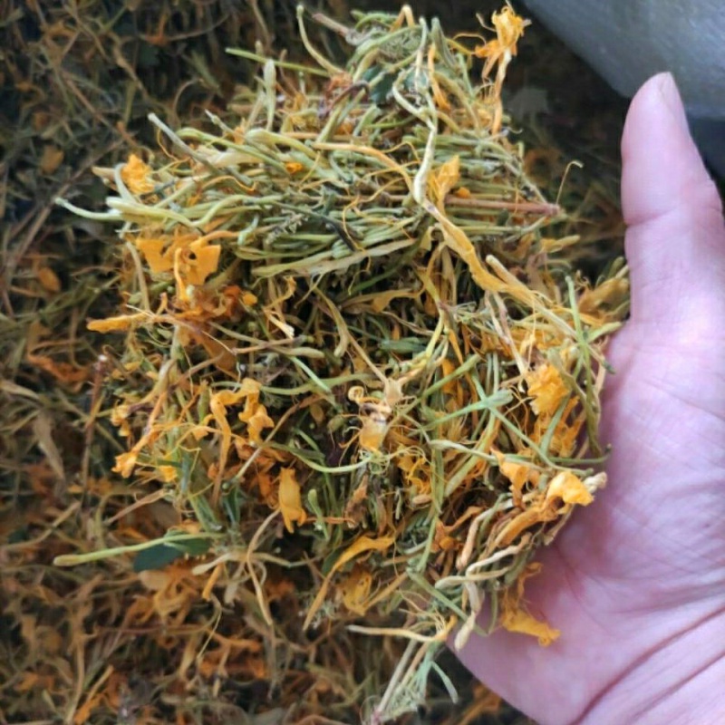 客家山银花500克野生金银花宝宝洗澡清金银花茶火可选50克/100克涵鹭 银花(泡茶用)(黄花)50克