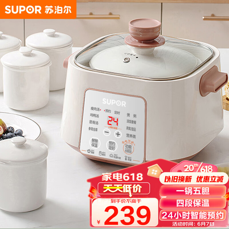 苏泊尔（SUPOR）电炖锅 电炖盅 隔水炖锅 燕窝炖盅 煲汤锅 炖汤锅 婴儿辅食锅 一锅五胆 DZ25YC828 2.5L