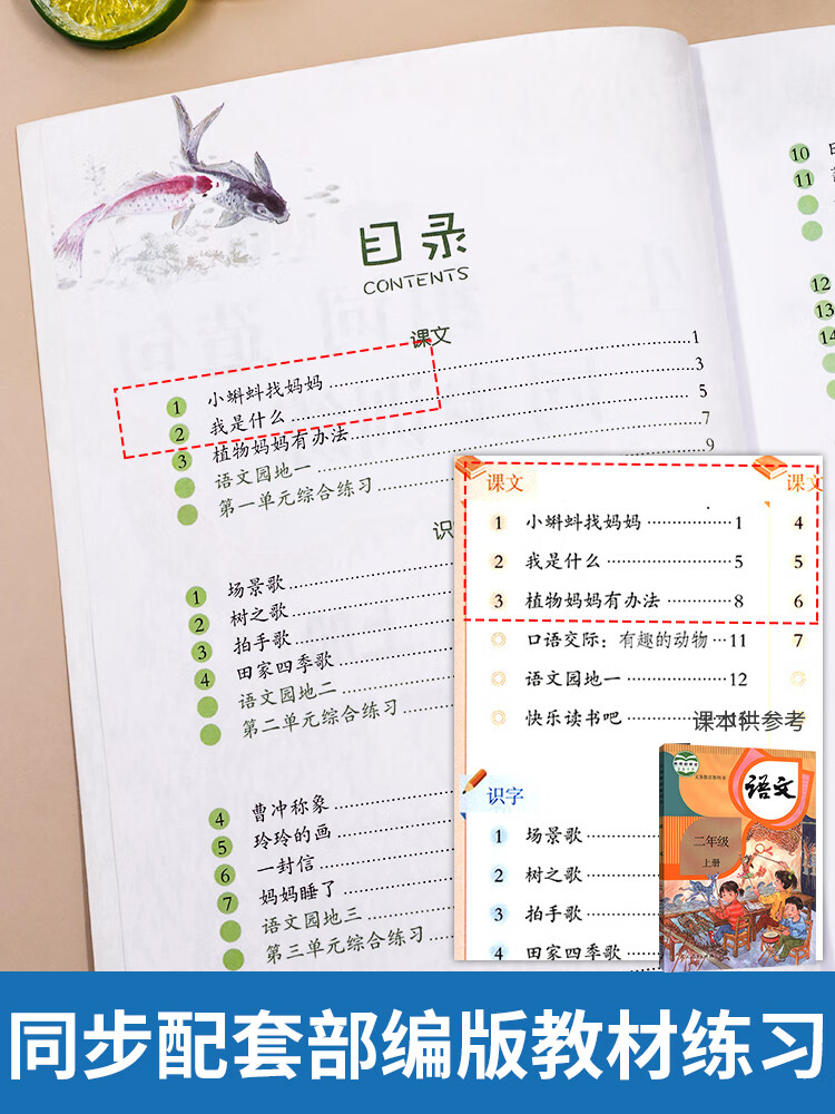 2022版小学语文生字组词造句同步训练一二三四年级上下册部编人教版看拼音写词语小学1234年级语文同步字词句 组词造句【上册+下册】 小学四年级