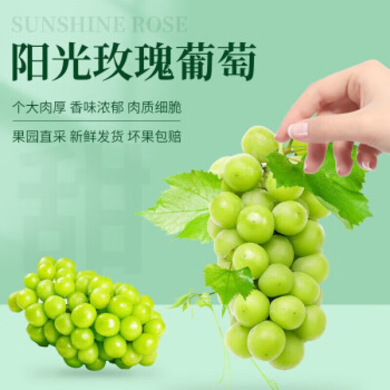 沐瑾晴王阳光玫瑰无籽葡萄孕妇礼盒送礼玫瑰葡萄香甜 1斤阳光玫瑰