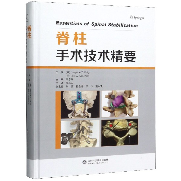 脊柱手术技术精要(精)