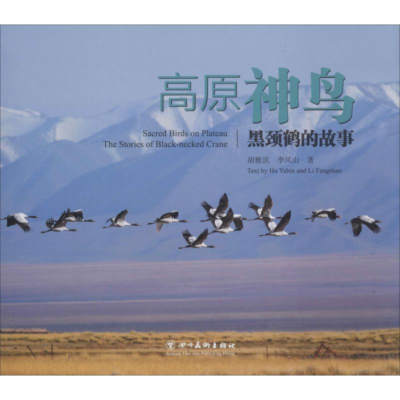 高原神鸟 黑颈鹤的故事