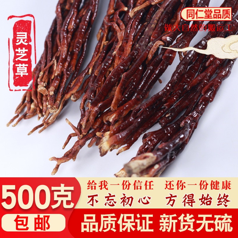 灵芝草中药材长白山特产整枝鹿角灵芝500g林芝煲汤泡酒孢子粉