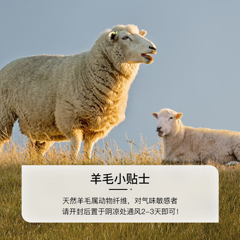 富安娜 珍芯100%澳洲进口纯羊毛被子 纯棉面料四季被 5.5斤 203*229cm白