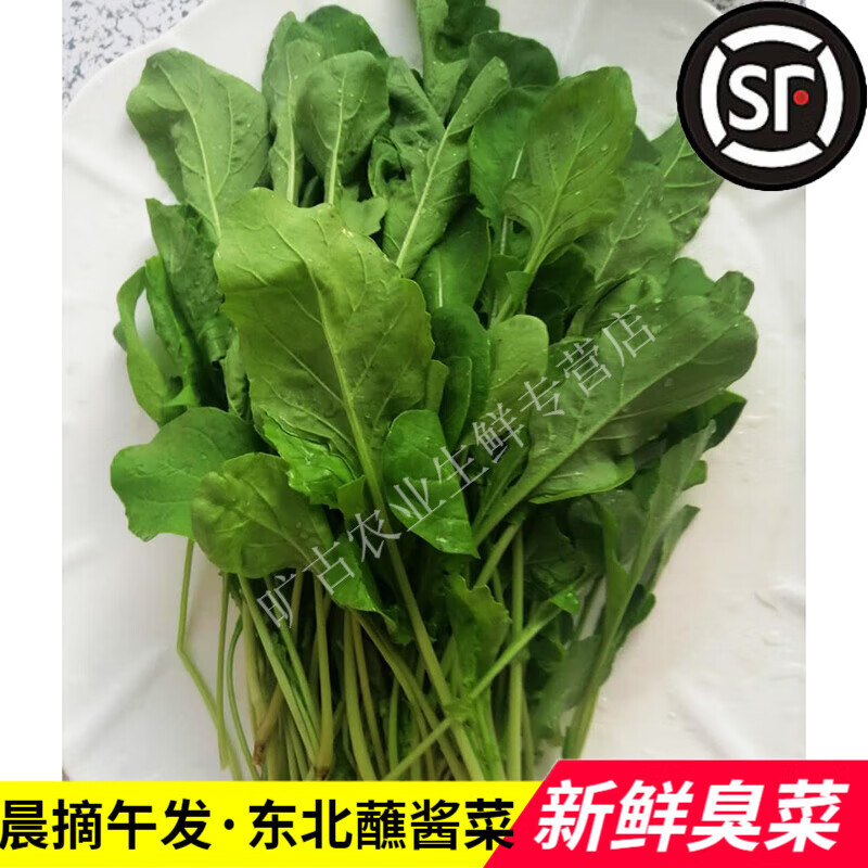 东北新鲜臭菜 农家自种新鲜蔬菜大叶臭菜 正宗东北蘸酱小菜 250g