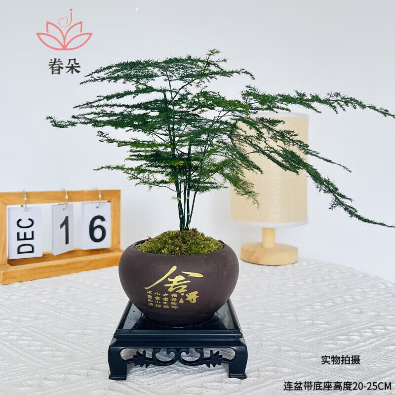 怎么看京东绿植盆栽商品历史价格|绿植盆栽价格走势图