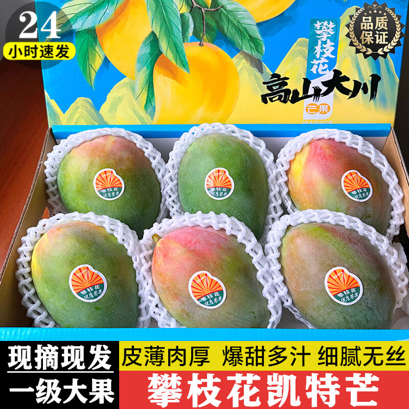 译优农四川攀枝花凯特芒特大芒果 新鲜水果当季青皮超甜芒果 源头直发 9斤果王 单果1.2斤起 【当天现摘速发】