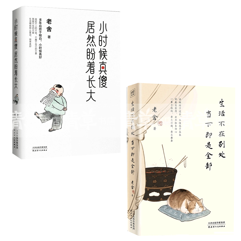 长大后才明白 成年人的世界 从来没有容易二字 老舍精选散文集c