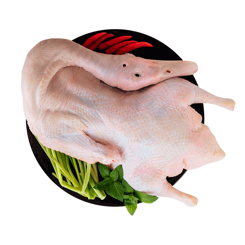 新鲜鸭子肉樱桃谷瘦肉鸭整只鸭肉生鲜食材冷冻白条鸭肉鸭鲜鸭生鸭