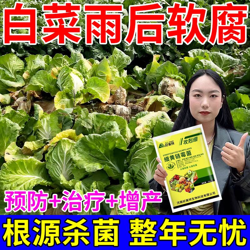 好美特包菜病专用药包菜病害清甘蓝包菜卷心菜白菜霜霉病黑腐病水溶肥