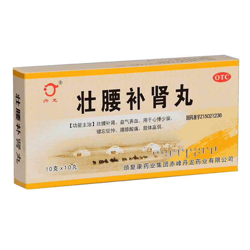 丹龙 壮腰补肾丸 10g*10丸/盒壮腰补肾益气养血健忘怔忡腰膝酸痛悸