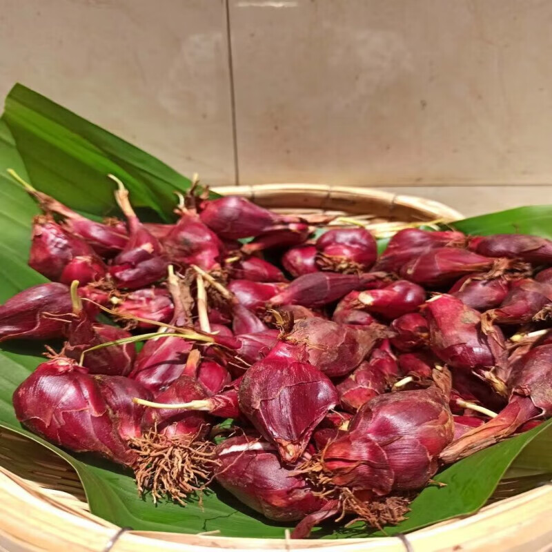菜显显 云南野生小红葱头珠葱朱葱血葱小红根葱种1斤装 500g