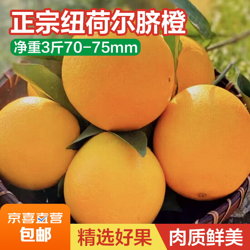 正宗纽荷尔脐橙新鲜水果手剥橙甜橙时令新鲜水果橙子 净重3斤70-75mm
