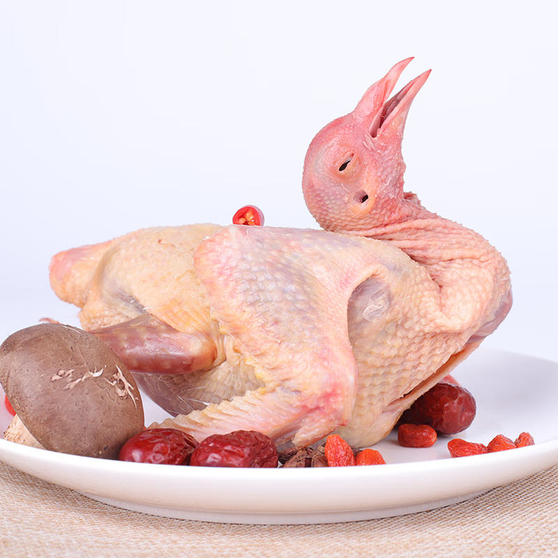 苏墨鸽子 新鲜散养土鸽子 鸽子肉煲汤乳鸽肉活体现杀汤滋补生鲜食品 2