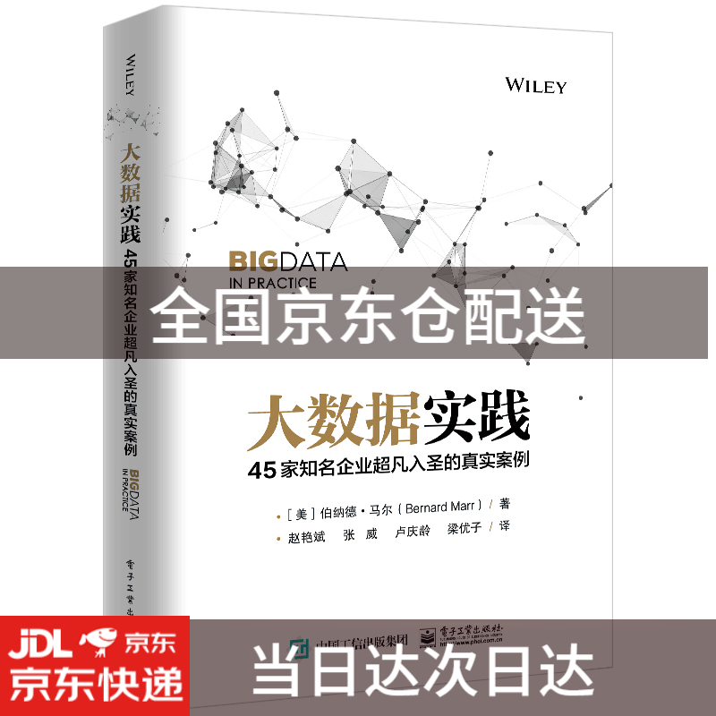 大数据实践：45家知名企业超凡入圣的真实案例9787121352331