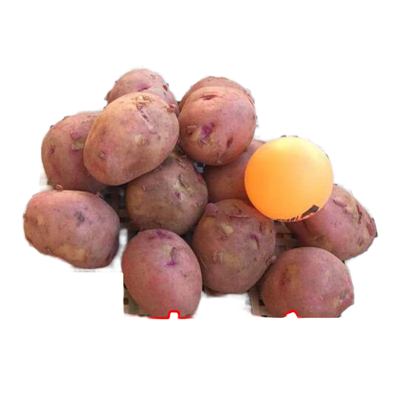 ���ڲ�����ũ�������Ϻ�Ƥ����С�������������ز� Ӧ���߲������ַ� ����9���й� 14.99Ԫ