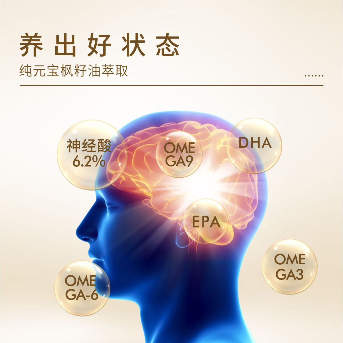 金枫露官方正品 元宝枫籽油神经酸DHA青少年中老年可搭枫籽油口服油30ml 30ml*1瓶