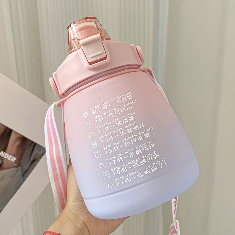 大容量女生2022新款夏季杯子大肚杯吸管 渐变粉【喝水时间大肚杯】